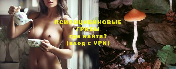 дмт Бородино