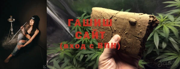 дмт Бородино
