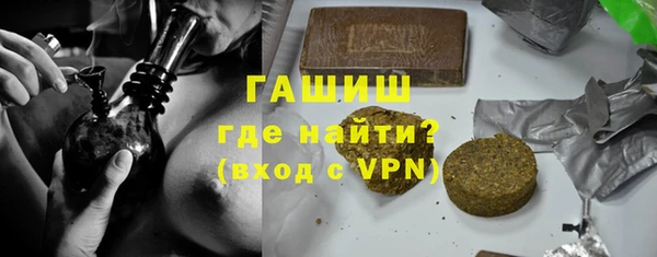 дмт Бородино