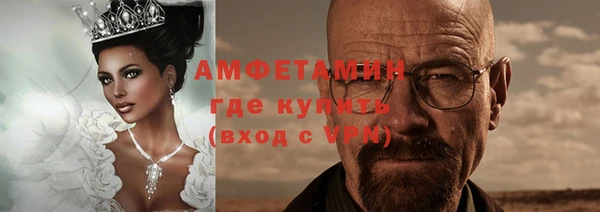 дмт Бородино