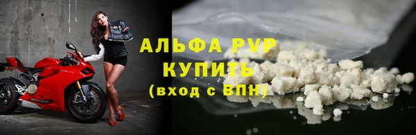 дмт Бородино