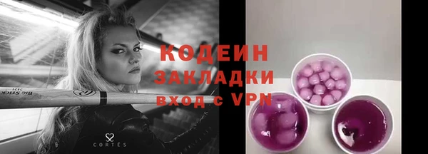 дмт Бородино