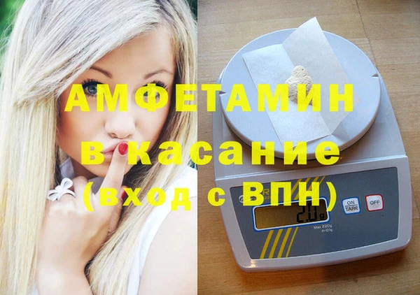 дмт Бородино