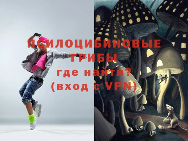 спиды Бугульма