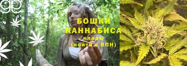 дмт Бородино