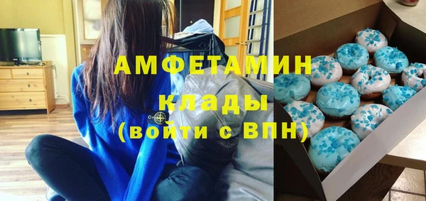 дмт Бородино