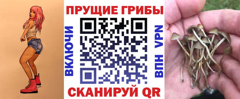 Купить  Ивангород  Псилоцибиновые грибы мухоморы 